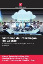 Sistemas de Informaç?o de Gest?o