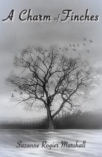 Charm of Finches