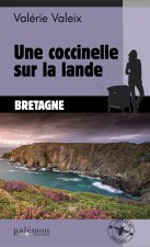 Une coccinelle sur la lande