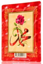 MAGNET - FLEUR MUHAMMAD