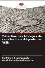 Détection des blocages de canalisations d'égouts par WSN
