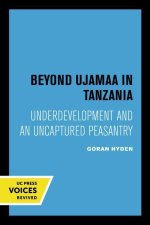 Beyond Ujamaa in Tanzania