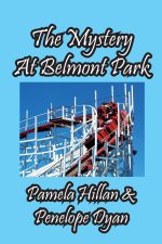 Mystery At Belmont Park