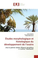Études morphologique et histologique du développement de l?ovaire