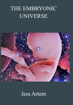 Embryonic Universe