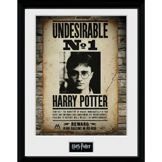 Harry Potter Zarámovaný plakát - Nežádoucí č. 1