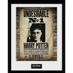 HARRY POTTER - Framed print 