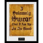 HARRY POTTER - Framed print 