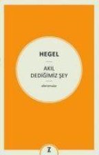 Akil Dedigimiz Sey