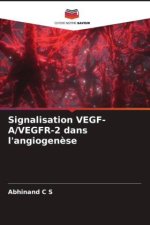 Signalisation VEGF-A/VEGFR-2 dans l'angiogen?se