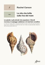vita che brilla sulla riva del mare. Le piante e gli animali che popolano i litorali rocciosi, le spiagge sabbiose e le barriere coralline