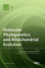 Molecular Phylogenetics and Mitochondrial Evolution