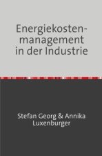Energiekostenmanagement in der Industrie