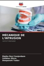 MÉCANIQUE DE L'INTRUSION