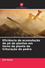 Efici?ncia de acumulaç?o de pó de plantas em torno da planta de trituraç?o de pedra