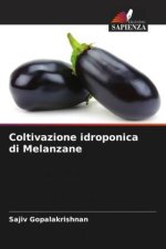 Coltivazione idroponica di Melanzane