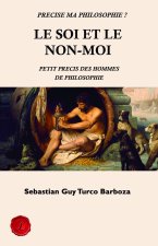 soi et le non-moi