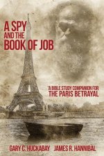 Spy and the Book of Job