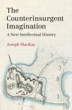 Counterinsurgent Imagination