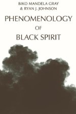 PHENOMENOLOGY OF BLACK SPIRIT