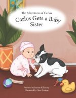Adventures of Carlos