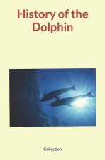 History of the Dolphin