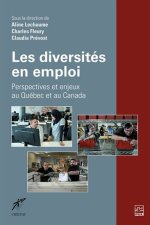 LES DIVERSITES EN EMPLOI. PERSPECTIVES ET ENJEUX AU QUEBEC CANADA