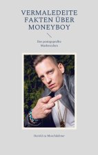 Vermaledeite Fakten uber Moneyboy