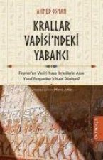 Krallar Vadisindeki Yabanci