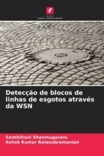 Detecç?o de blocos de linhas de esgotos através da WSN