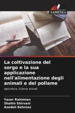 La coltivazione del sorgo e la sua applicazione nell'alimentazione degli animali e del pollame