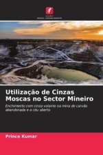 Utilizaç?o de Cinzas Moscas no Sector Mineiro