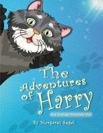 Adventures of Harry the Inside-Outside Cat