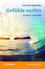Gefühle surfen (Wissen & Leben)