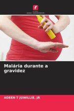 Malária durante a gravidez