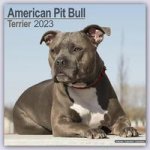 American Pit Bull Terrier 2023 Wall Calendar