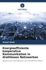 Energieeffiziente kooperative Kommunikation in drahtlosen Netzwerken