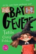 Tatile Giris Rehberi
