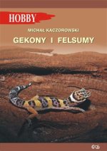 Gekony i felsumy