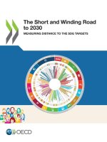 short and winding road to 2030