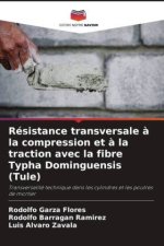 Résistance transversale ? la compression et ? la traction avec la fibre Typha Dominguensis (Tule)