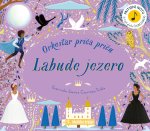 Orkestar priča priču - Labuđe jezero