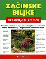 Začinske biljke - stručnjak za vrt