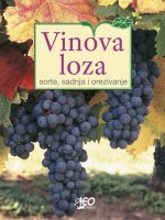 Vinova loza