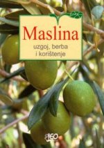 Maslina - uzgoj, berba i korištenje