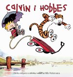 Calvin i Hobbes