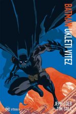 Batman - Ukleti vitez