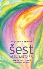 Šest milimetara,ispovijest o boli i pobjedi