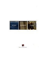 More, kamen, grad
