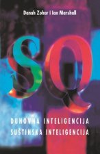SQ - Duhovna inteligencija, suštinska inteligencija